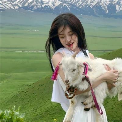 变形计 我的变形日记 海报